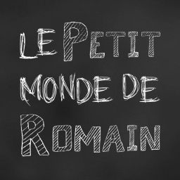 Image de profil du site Le Petit monde de Romain